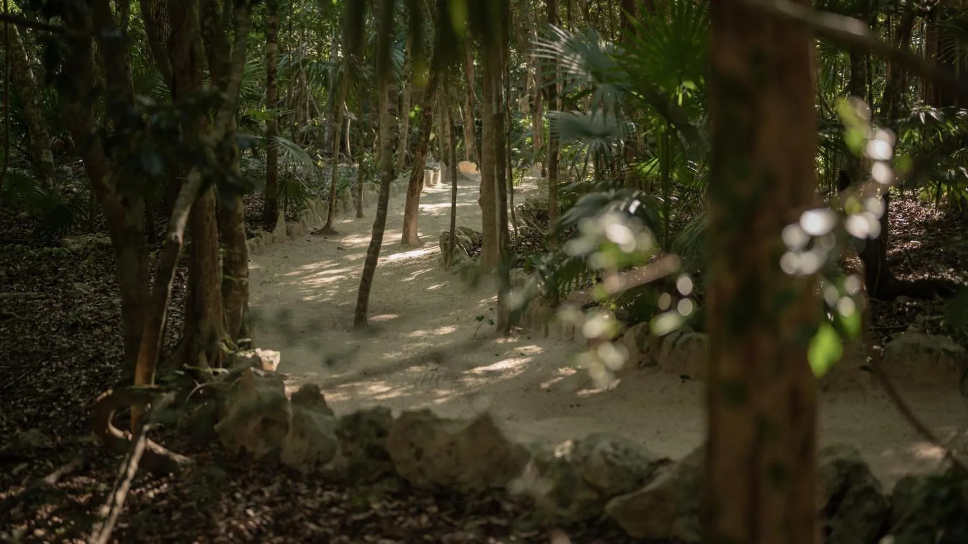 Naum - Secluded Villa With Private Cenote Tulum 0*,