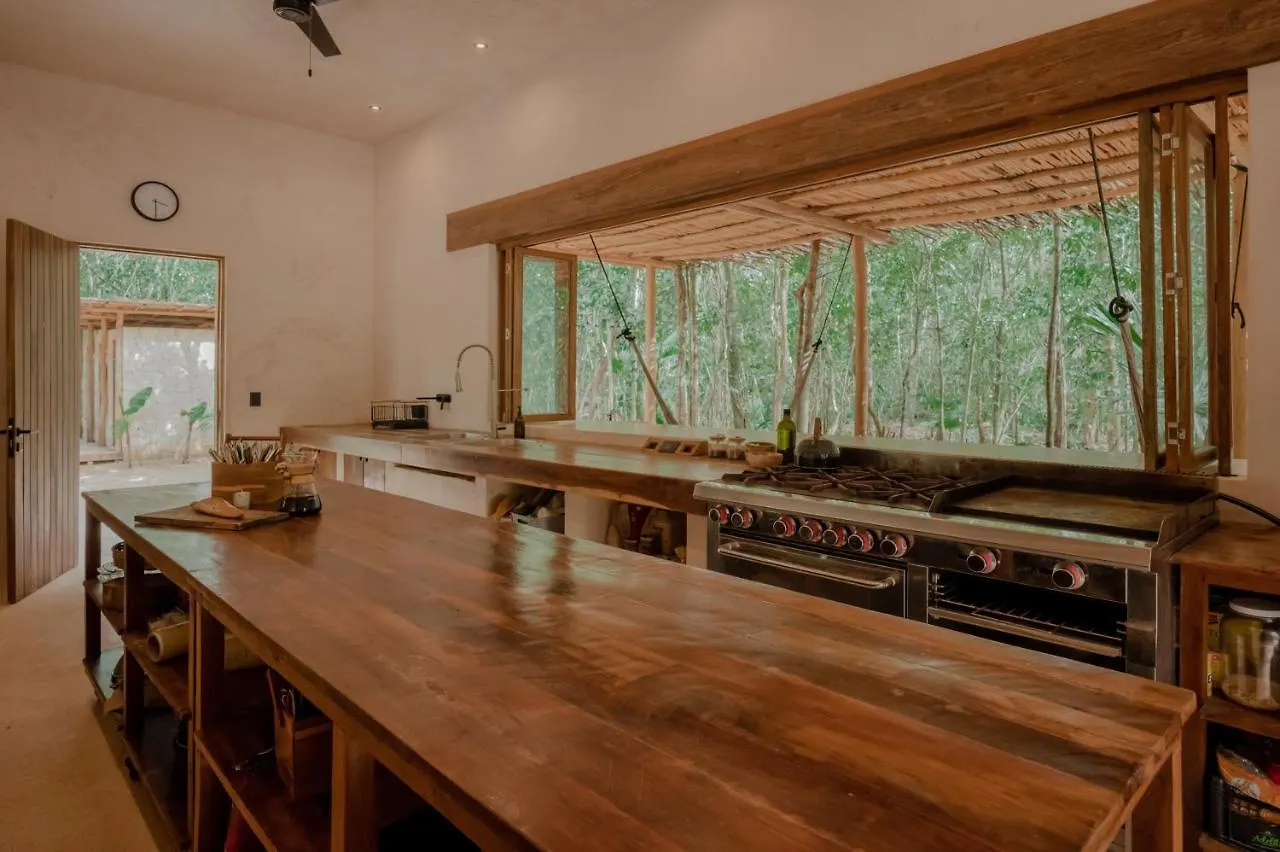 Naum - Secluded Villa With Private Cenote Tulum